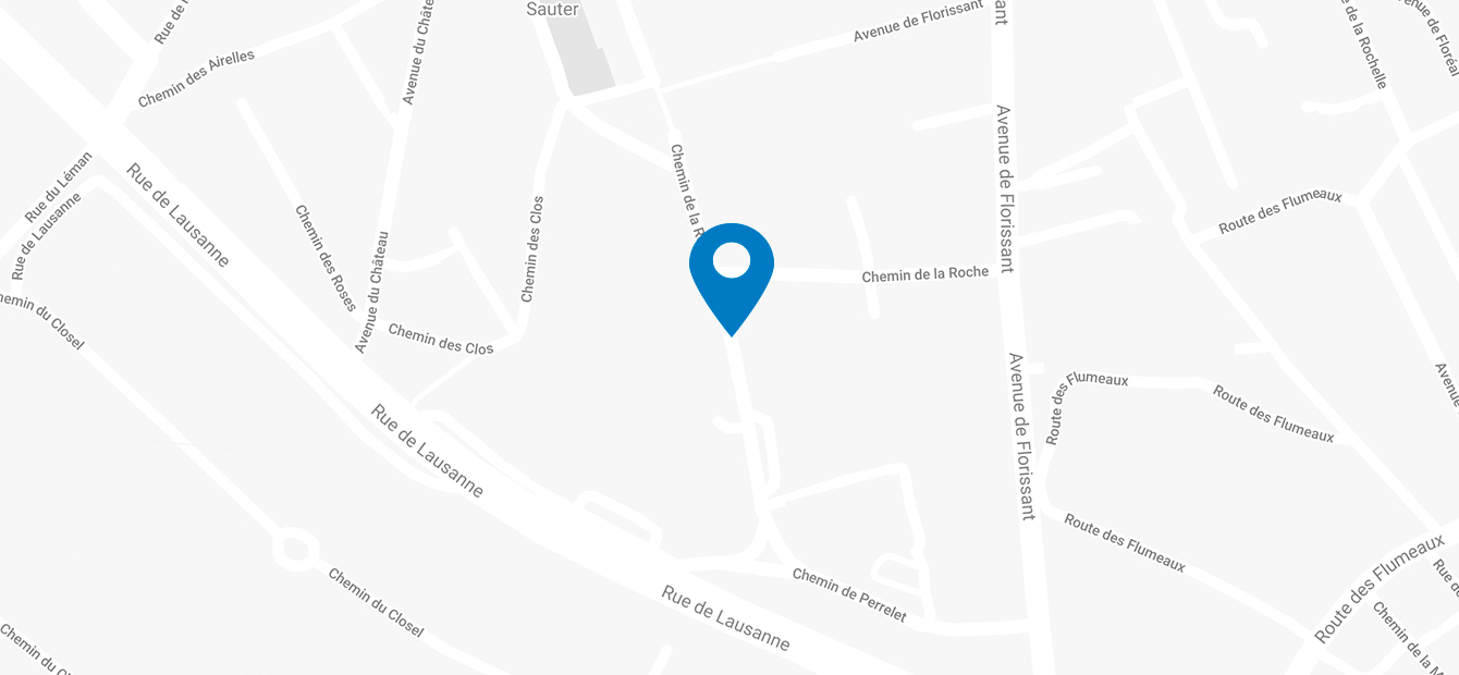 Ouvrir dans Google Maps